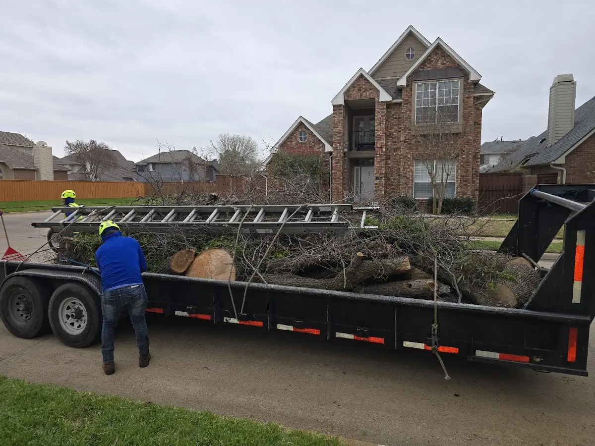 Expert Tree Pest Control with proper safety equipment in Wingina